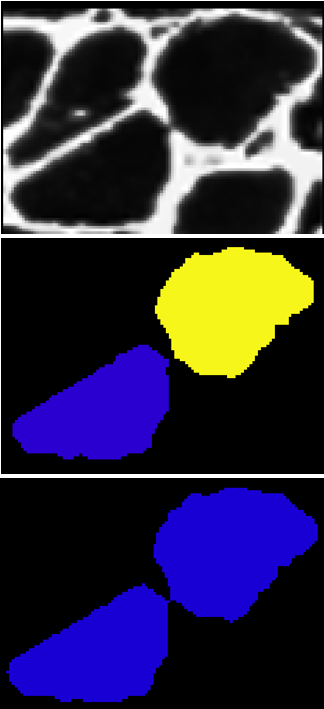 Labeled Images